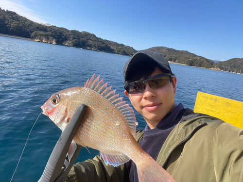 チャリコの釣果