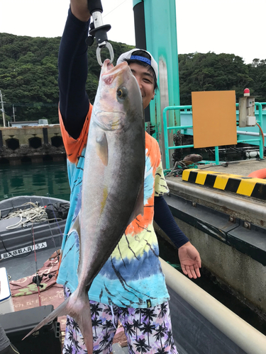 ネリゴの釣果