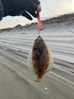 ソゲの釣果