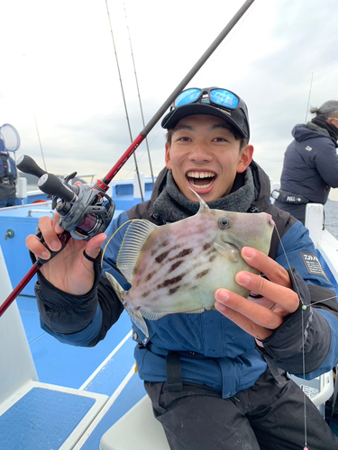 カワハギの釣果