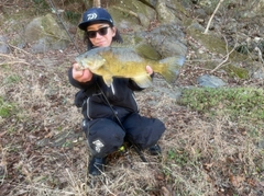 スモールマウスバスの釣果