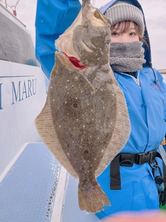 ヒラメの釣果