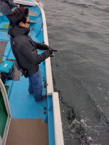 ハマチの釣果