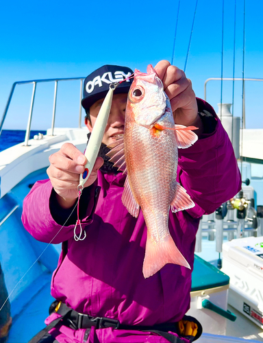 アカムツの釣果