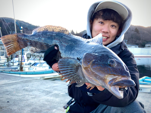 アイナメの釣果