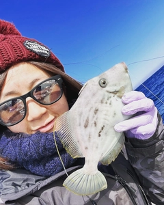 カワハギの釣果