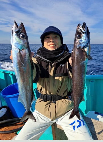 クロシビカマスの釣果