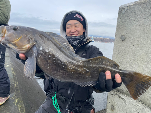 アイナメの釣果