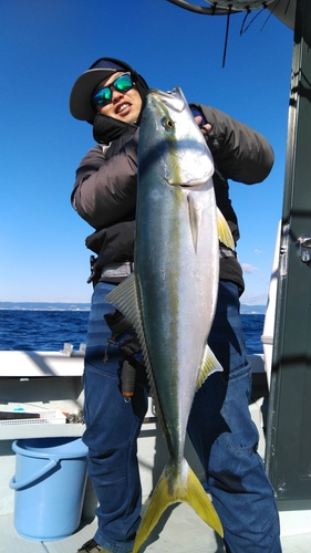 ワラサの釣果