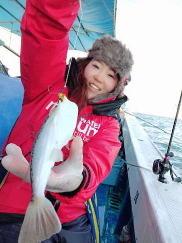 ショウサイフグの釣果