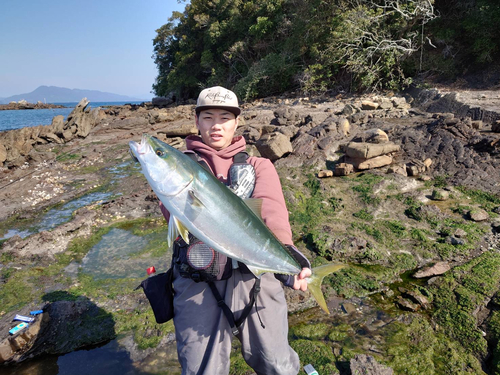 ブリの釣果