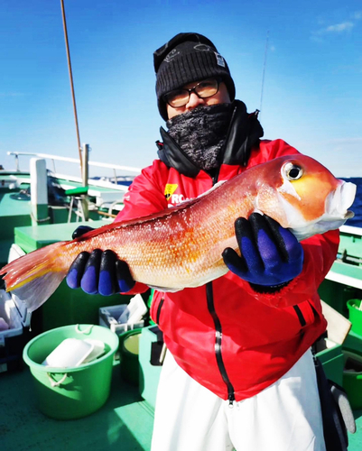 アマダイの釣果