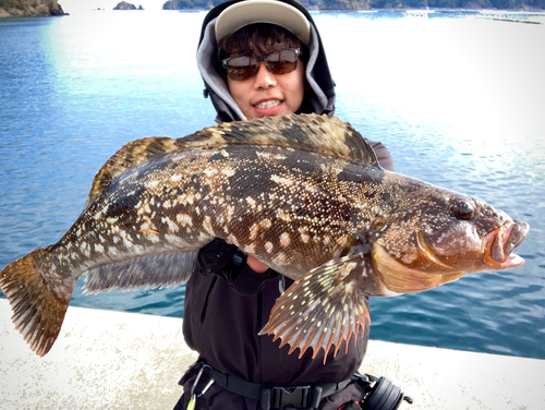 アイナメの釣果