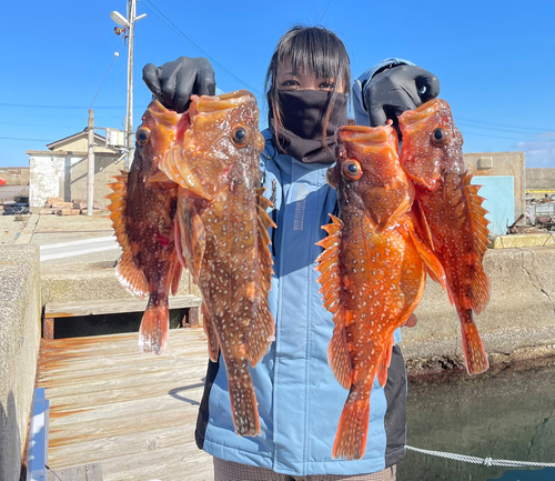 カサゴの釣果