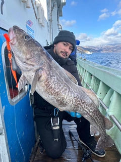 マダラの釣果