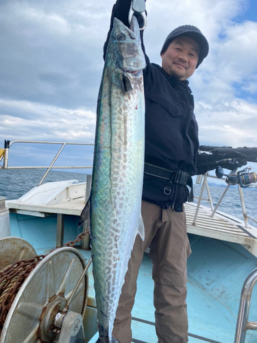 サワラの釣果