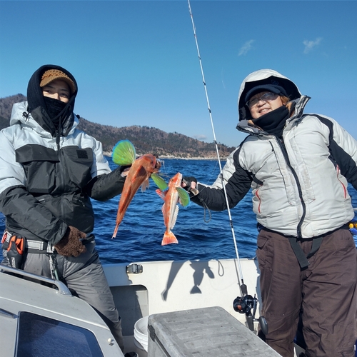 ホウボウの釣果