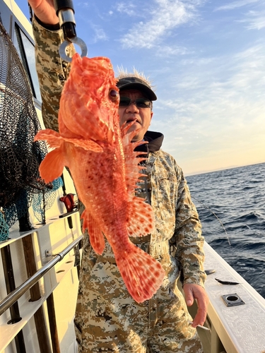 オニカサゴの釣果