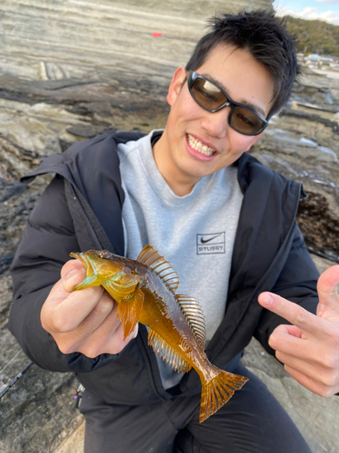 アナハゼの釣果