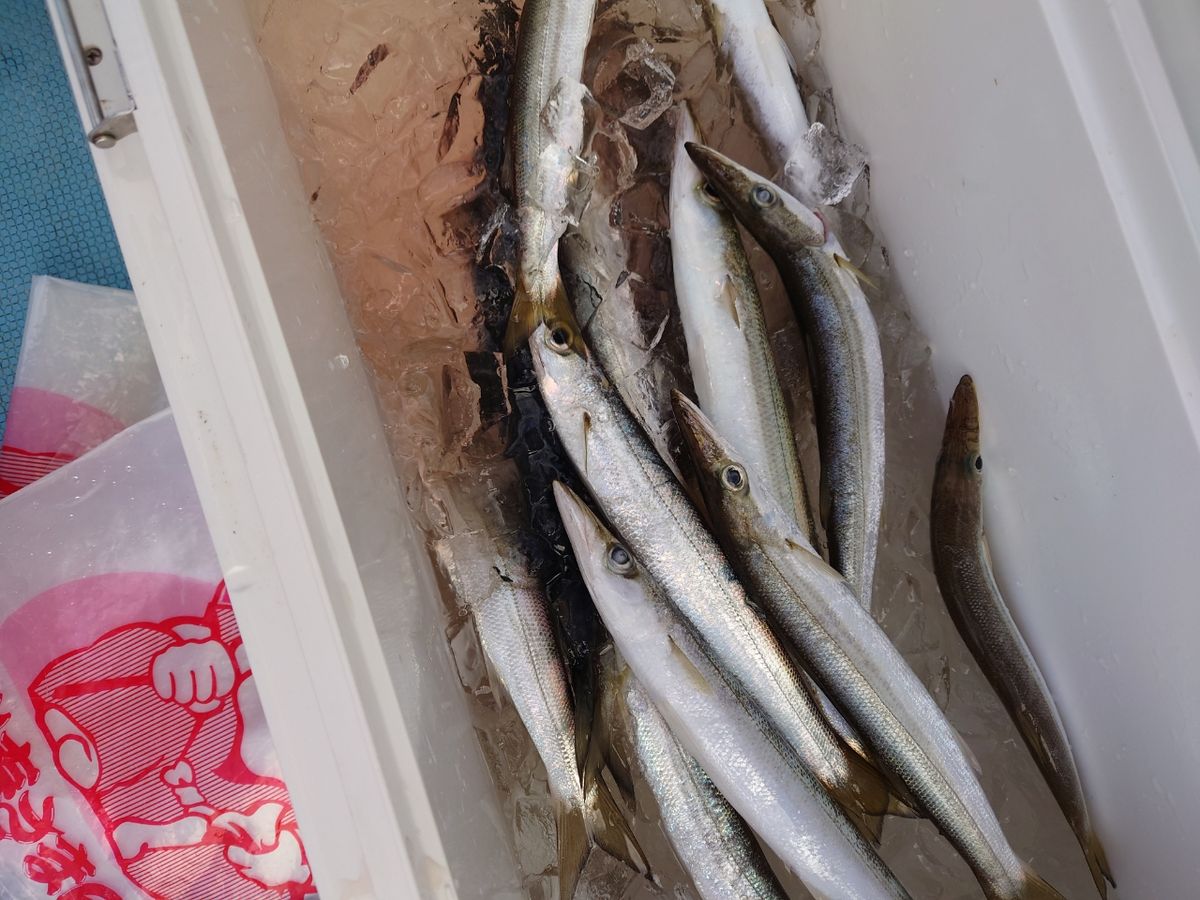 HIDECKEYさんの釣果 1枚目の画像