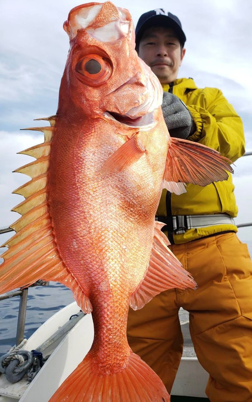 ポケ船長さんの釣果 3枚目の画像