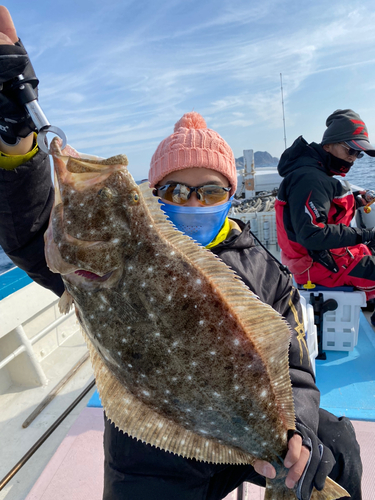 ヒラメの釣果