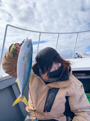 ツバスの釣果