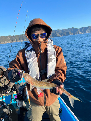 エソの釣果