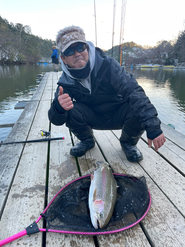 レインボートラウトの釣果