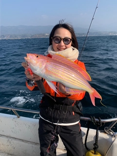 イトヨリダイの釣果