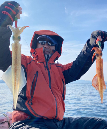 ヤリイカの釣果