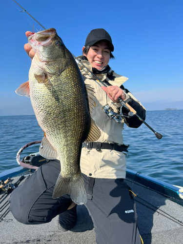 ブラックバスの釣果