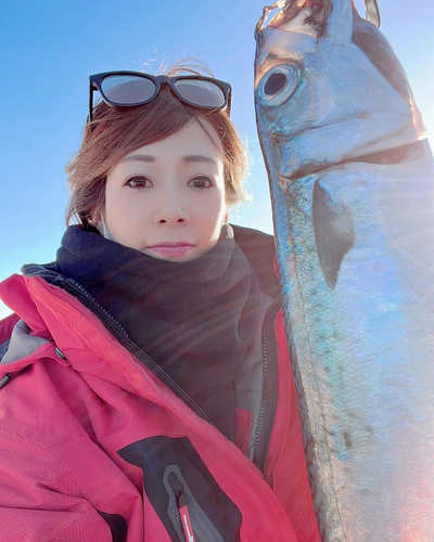 マサバの釣果