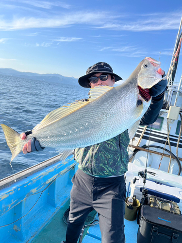 オオニベの釣果