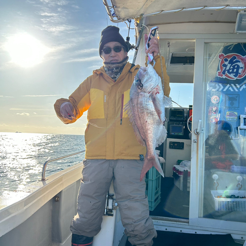 マダイの釣果