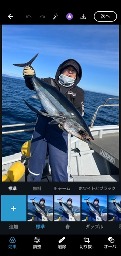 ビンチョウマグロの釣果