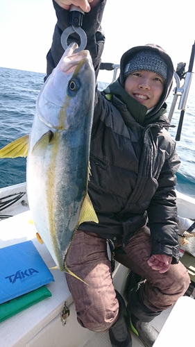 ヒラマサの釣果