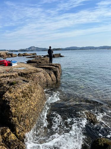 アラカブの釣果