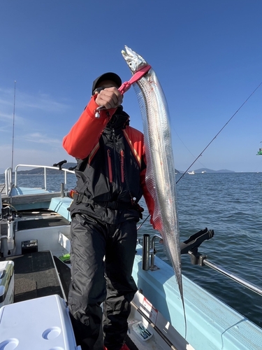 タチウオの釣果