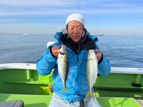 マアジの釣果