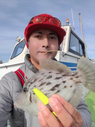 カワハギの釣果