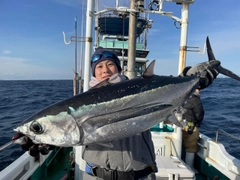 ビンチョウマグロの釣果