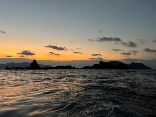 イサキの釣果