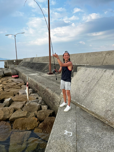 エソの釣果