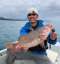 スジアラの釣果