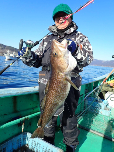 マダラの釣果