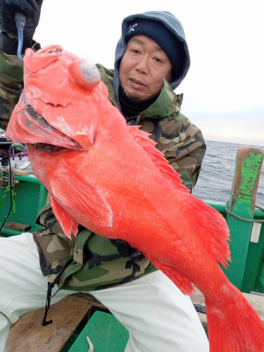 オオサガの釣果