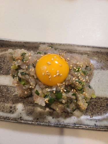 グレの釣果