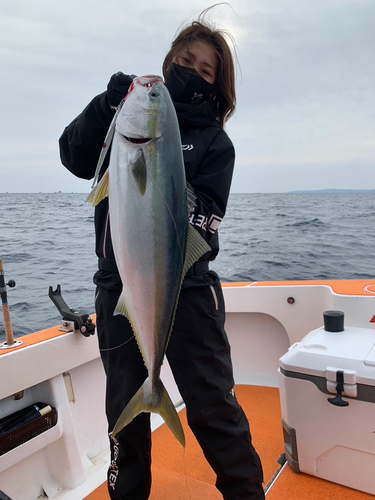 ヤズの釣果