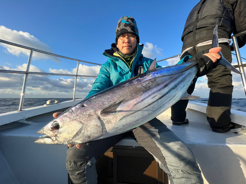 カツオの釣果